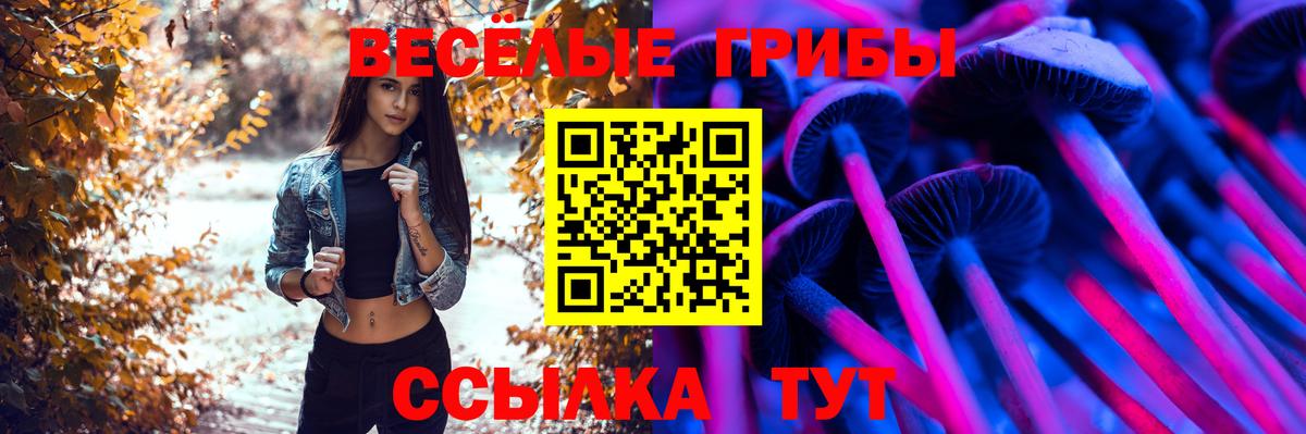 Псилоцибиновые грибы прущие грибы  Вход с VPN  Новозыбков 